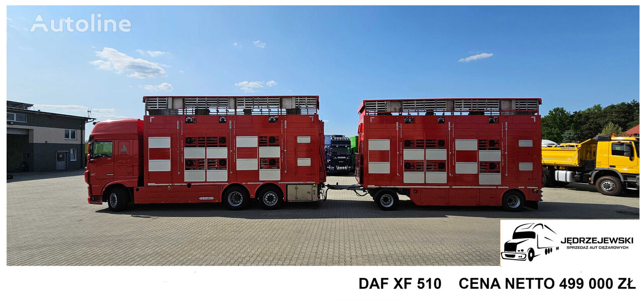 가축운반차 DAF  XF 105.510 + 가축 운송 트레일러